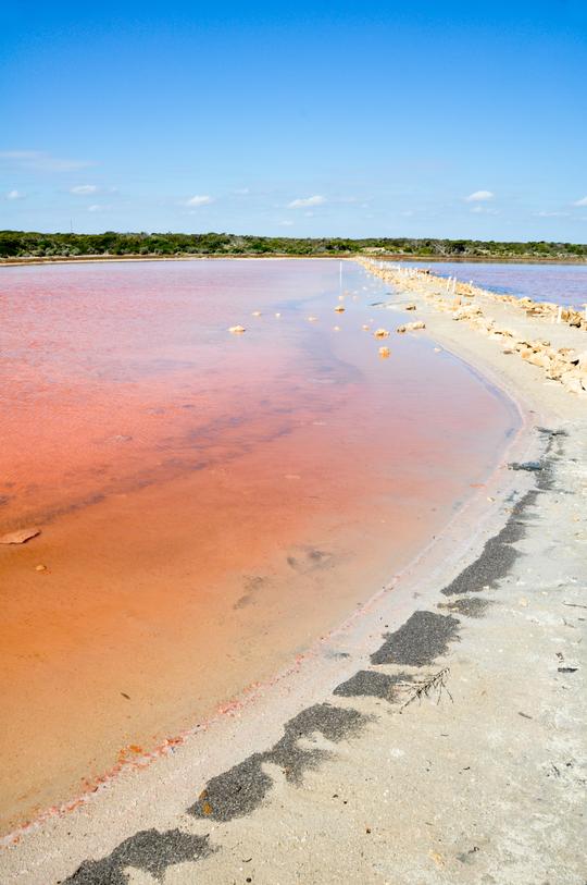 Coorong Candle Co