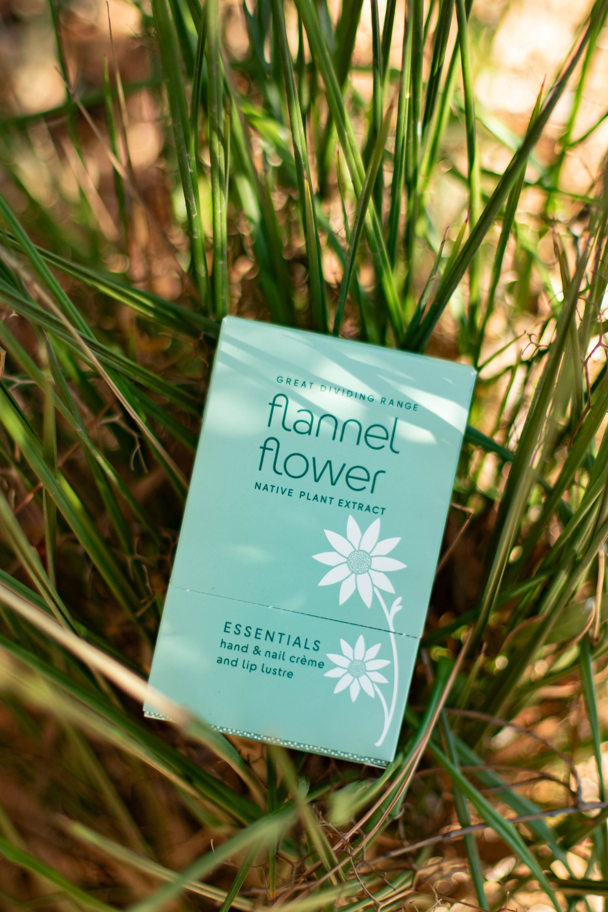 Maine Beach - Flannel Flower Body Mousse